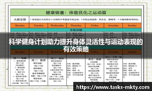 mk体育